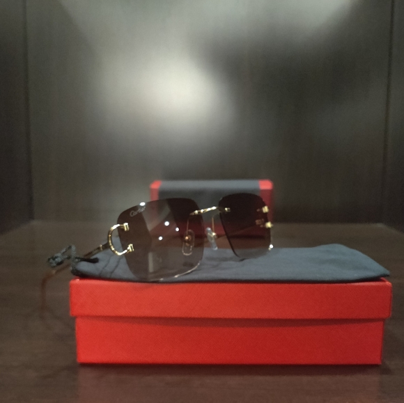 Brown Tints Double C's Frames w/ Golden Rims. - Picture 8 of 11